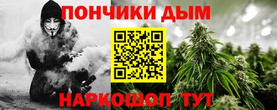 дурь Камышлов