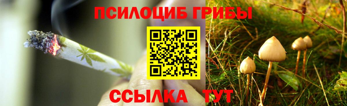 Галлюциногенные грибы мицелий  Псилоцибиновые грибы MAGIC MUSHROOMS  Вход с VPN  Гай 